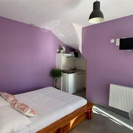 Gite Le Champfort-studio Saint-Savin (Isere)