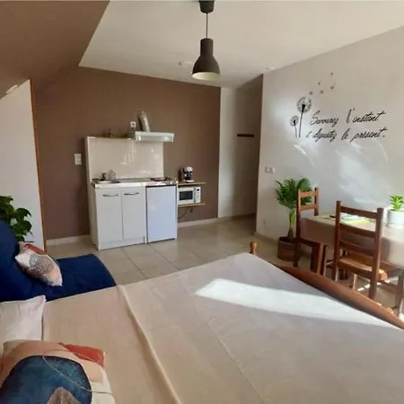 Διαμέρισμα Gite Le Champfort-studio Saint-Savin (Isere)